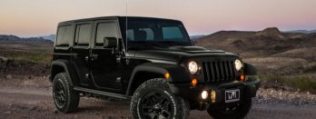 Platinum Window Film