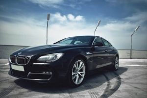 Platinum Window Film